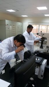 Our Commitment to Quality